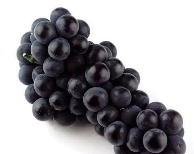 黑色葡萄品种有哪些？-图1