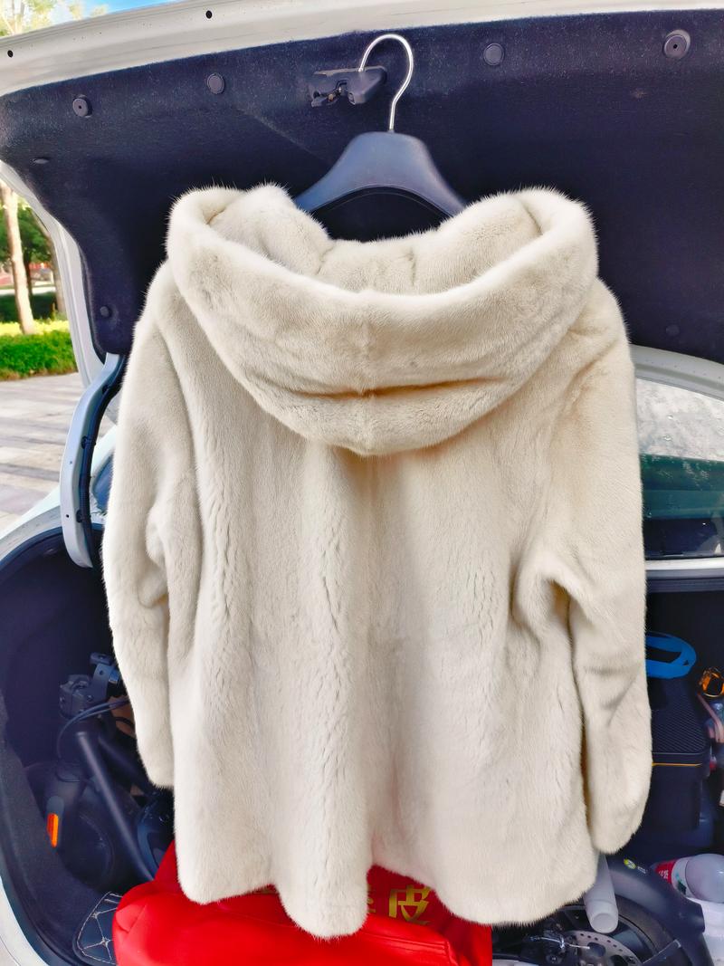 2025貂皮价格会涨还是跌?-图3 2025貂皮价格会涨还是跌?-图3