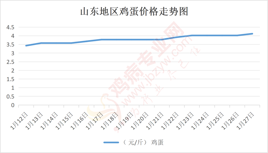 山东今日鸡蛋价格早报，行情如何？-图1