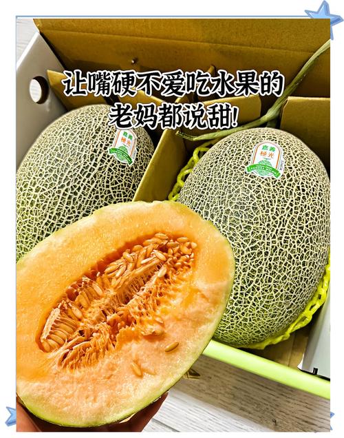 新疆哈密瓜到底有多少品种?-图1 新疆哈密瓜到底有多少品种?-图1