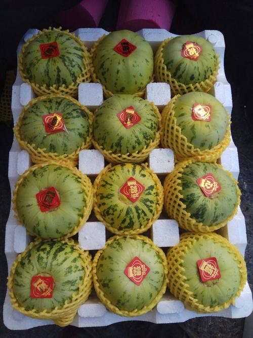 现代香瓜品种，到底哪家最好？-图3