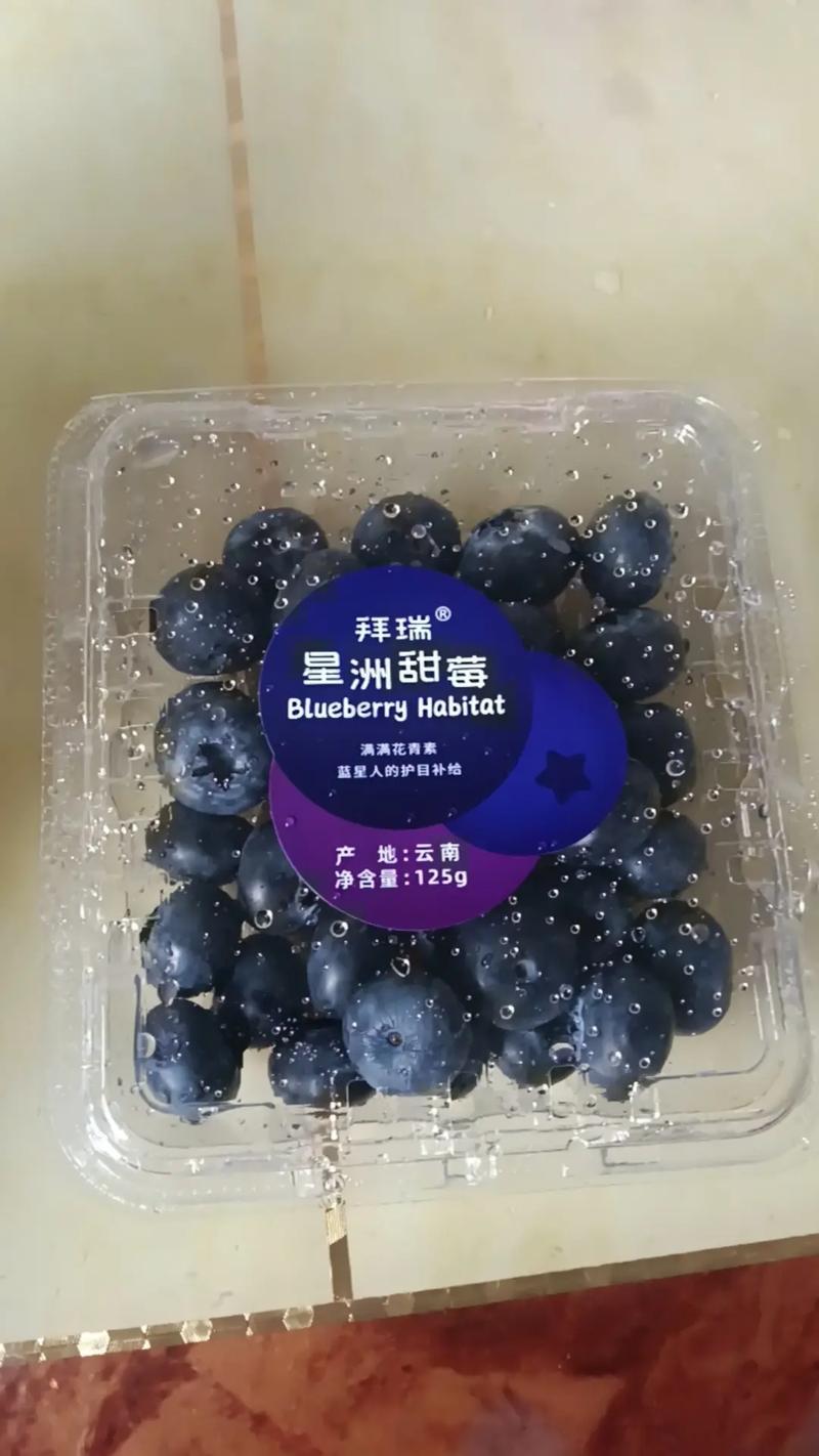 哪种蓝莓品种最贵？-图1