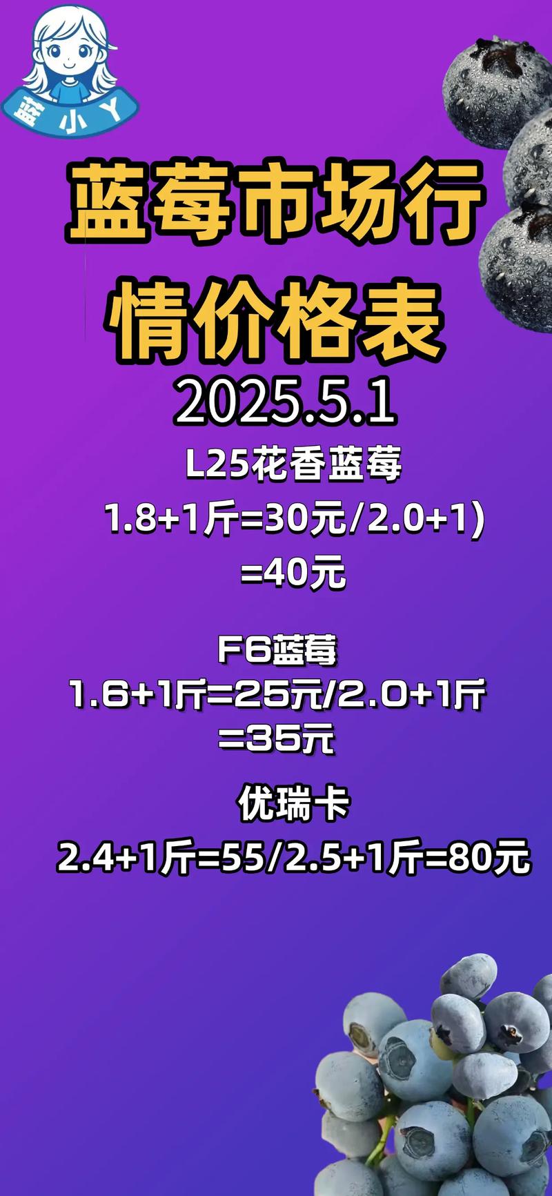 哪种蓝莓品种最贵？-图2