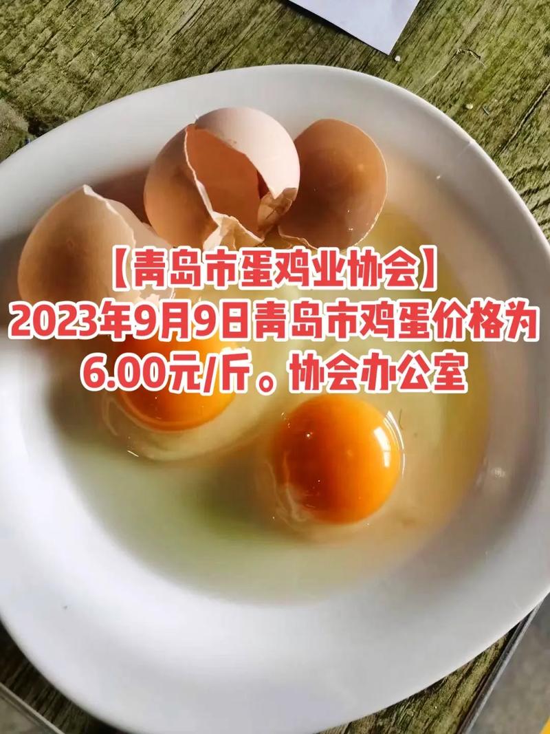 青岛今日鸡蛋价格多少钱一斤？-图3
