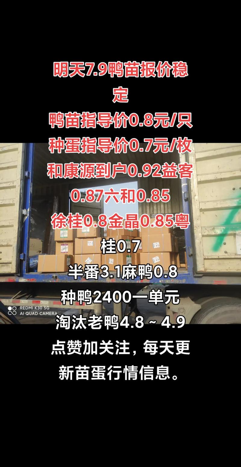 2025年鸭苗价格会涨还是跌？-图2