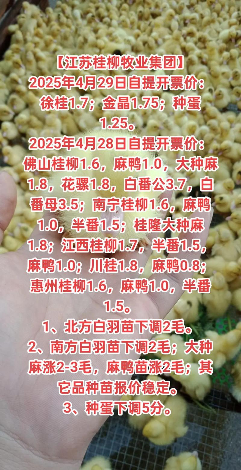 2025年鸭苗价格会涨还是跌？-图3