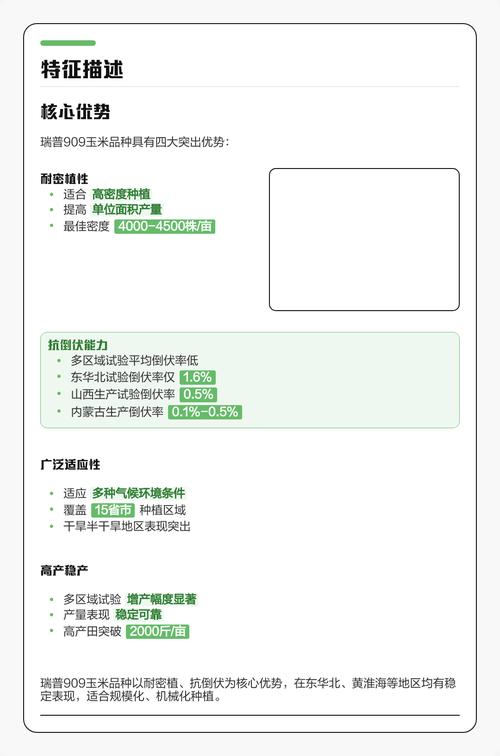 909玉米品种有哪些特点？-图1