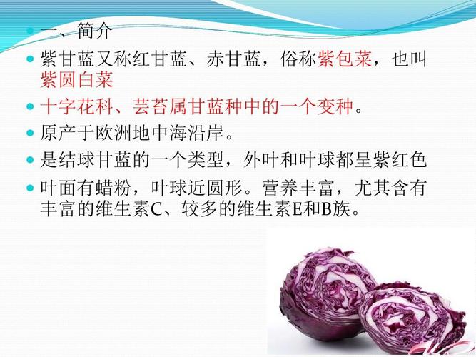 甘蓝栽培技术要点有哪些？-图1