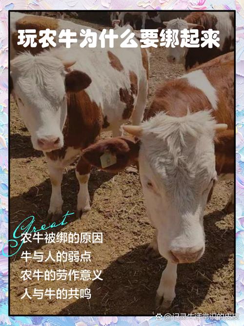 养牛关键技术有哪些?-图2 养牛关键技术有哪些?-图2