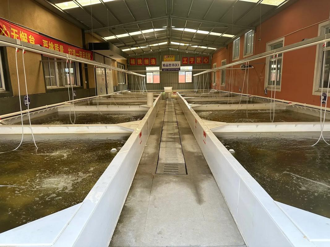 泉水养殖大闸蟹，如何攻克技术难点？-图3