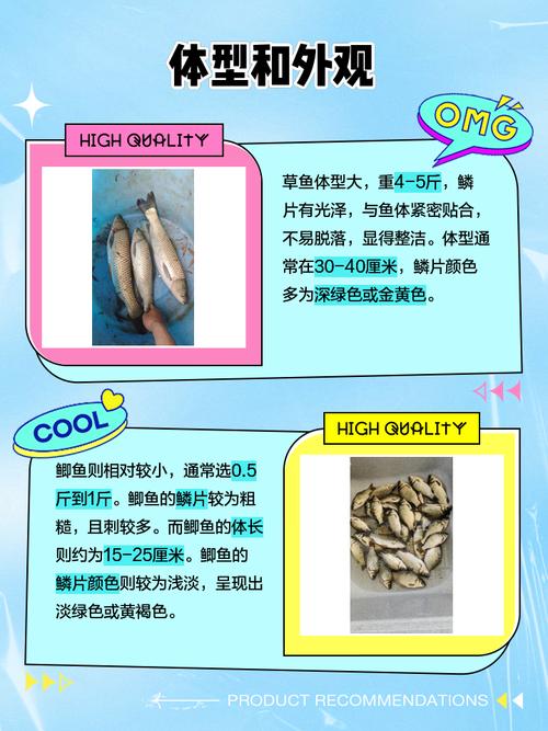 草鱼鲫鱼混养，池塘如何高效管理？-图2