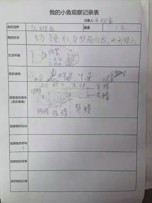 本周水产技术成长如何?关键收获有哪些?-图2 本周水产技术成长如何?关键收获有哪些?-图2