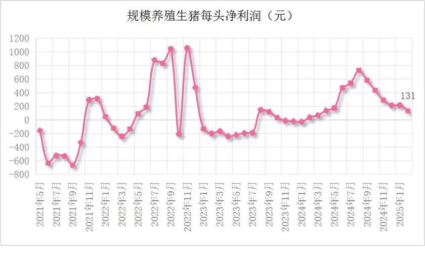 广西今日生猪价格是涨还是跌？-图1