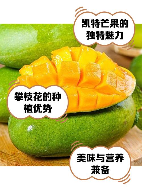 凯特芒果种植技术视频-图1