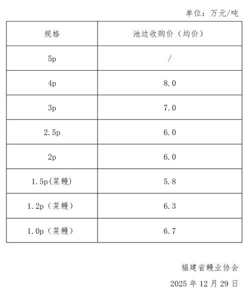 2025年鳗苗价格会涨还是跌？-图3