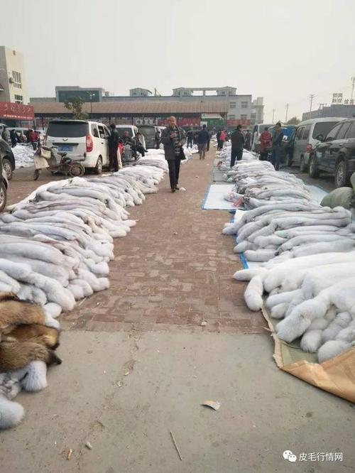 尚村皮毛2025价格会涨还是跌?-图3 尚村皮毛2025价格会涨还是跌?-图3