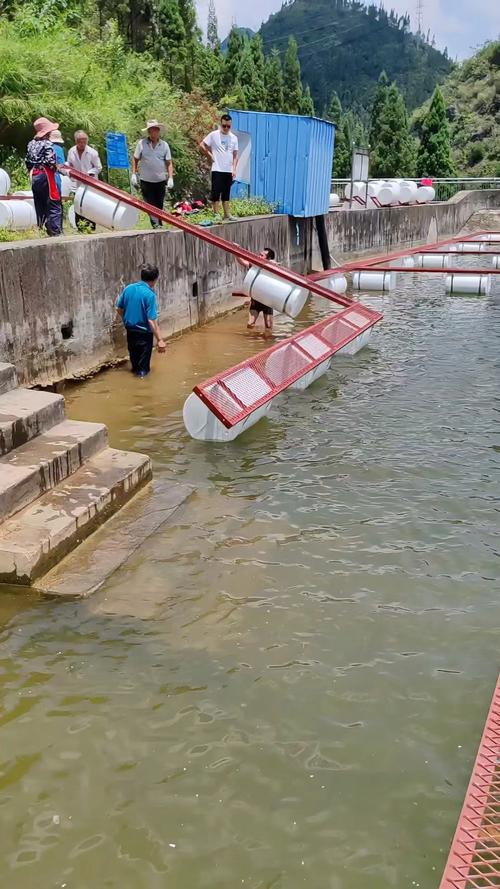 北京水库网箱养殖技术如何高效应用？-图3