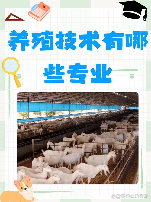 规模养殖技术从哪里来？-图1