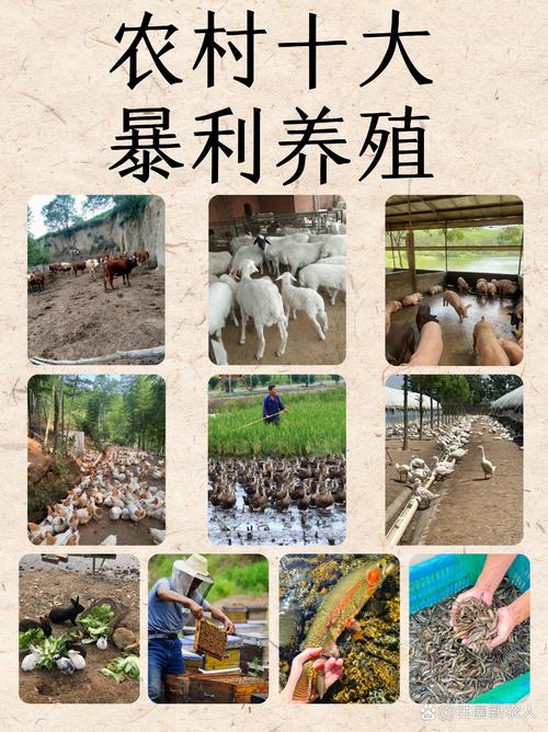 规模养殖技术从哪里来？-图2