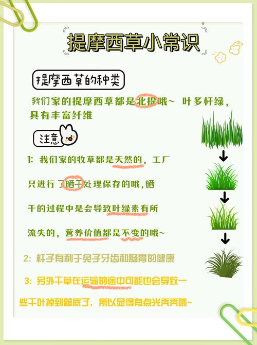 哪些牧草品种优质又高产?-图1 哪些牧草品种优质又高产?-图1