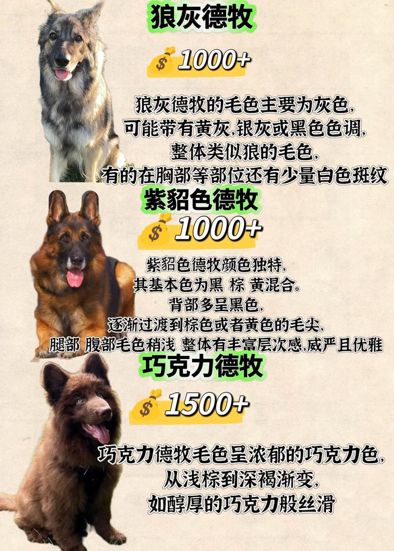 哪些牧草品种优质又高产?-图2 哪些牧草品种优质又高产?-图2