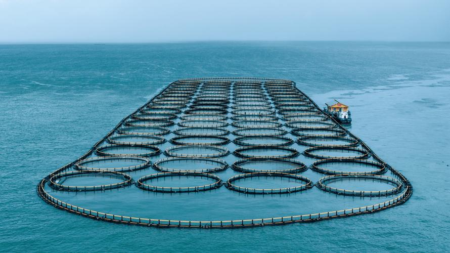 浙江水产养殖主养品种有哪些？-图3