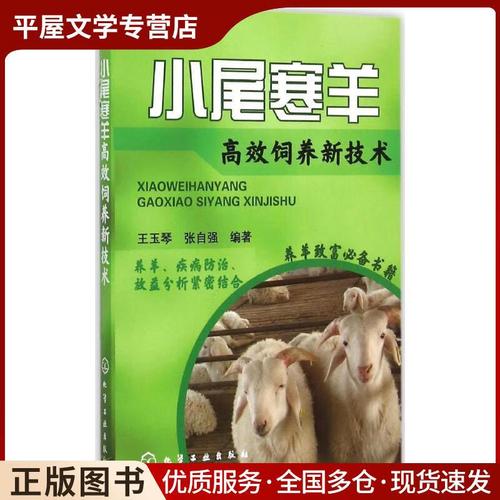 小尾寒羊高效植技术如何实现？-图1