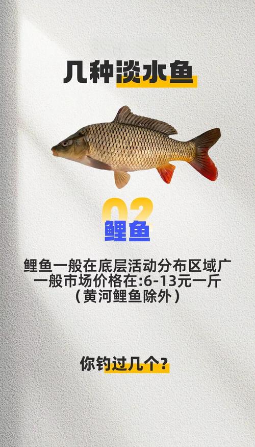 洪湖红叶水产白鲢价格现在多少钱？-图1