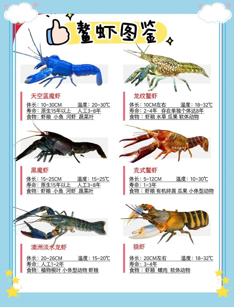 水产养殖品种选育有哪些关键方向？-图1