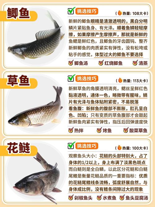 水产养殖品种选育有哪些关键方向？-图2