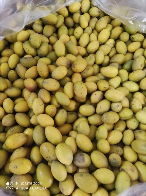 橄榄果有哪些常见品种？-图3