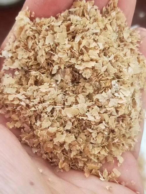 河北藁城梅花麦麸价格现在多少？-图3