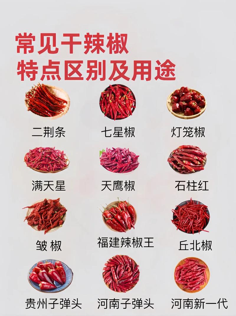 所有辣椒品种图片大全，有哪些常见品种？-图2