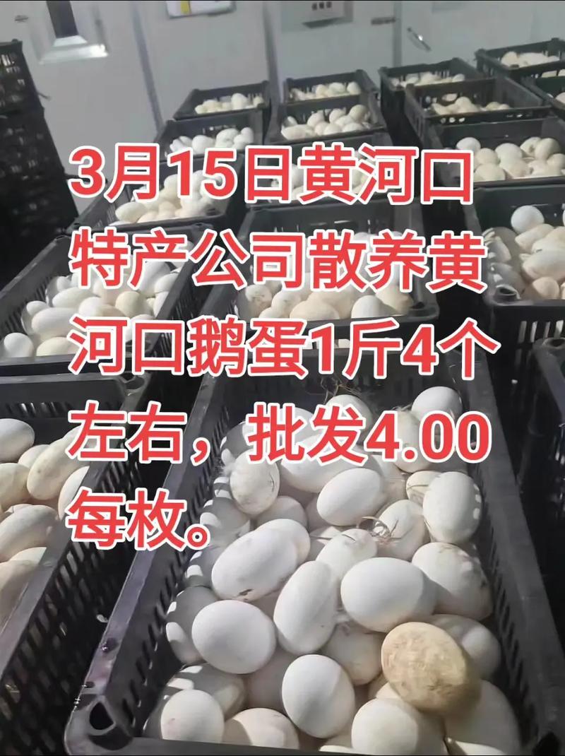 2025年种鹅蛋价格会涨还是跌？-图2