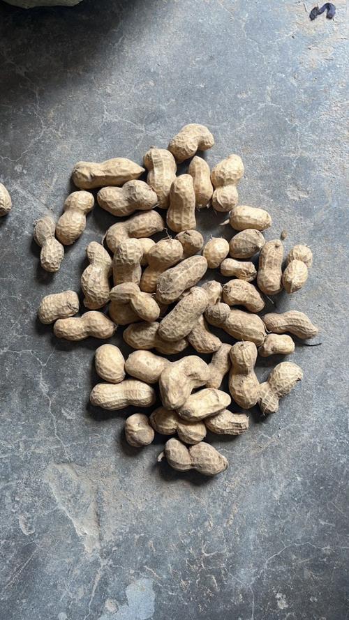 今日河南商丘花生价格多少钱一斤？-图3