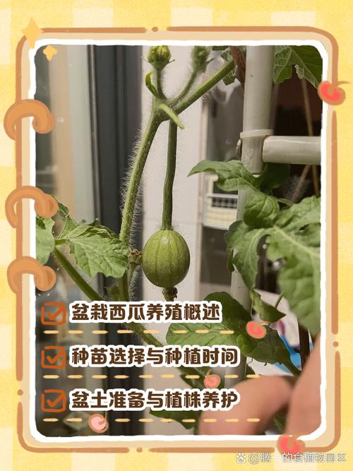 西瓜视频养殖技术靠谱吗?-图1 西瓜视频养殖技术靠谱吗?-图1