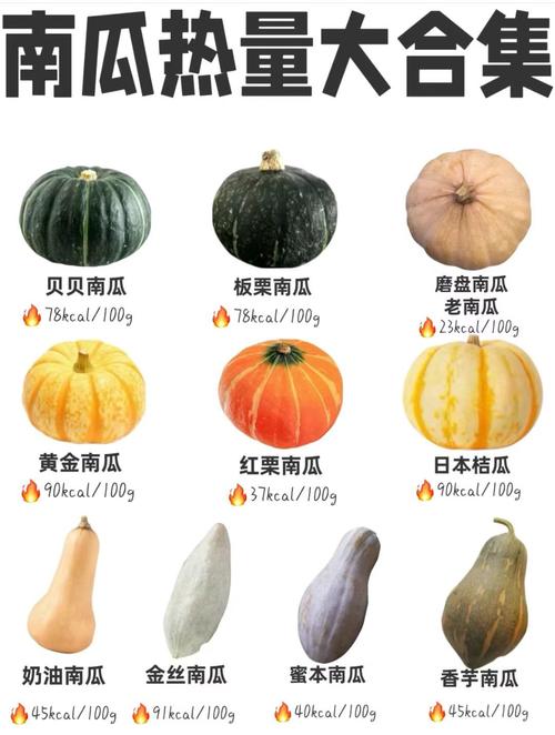 南瓜品种那么多，到底哪种最好？-图2