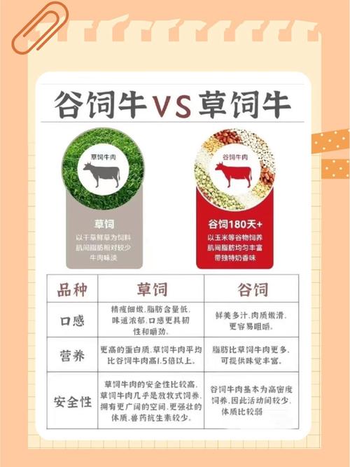 夏季肉牛饲料喂养技术要点有哪些？-图2