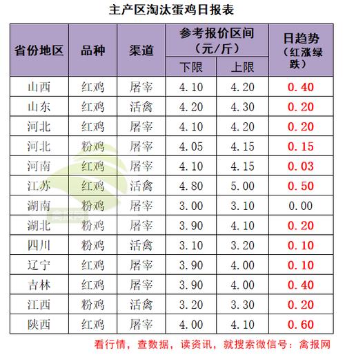 郑州淘汰蛋鸡最新价格-图1