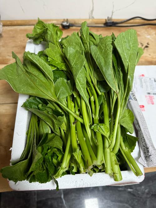 冬季常见蔬菜品种有哪些？-图3