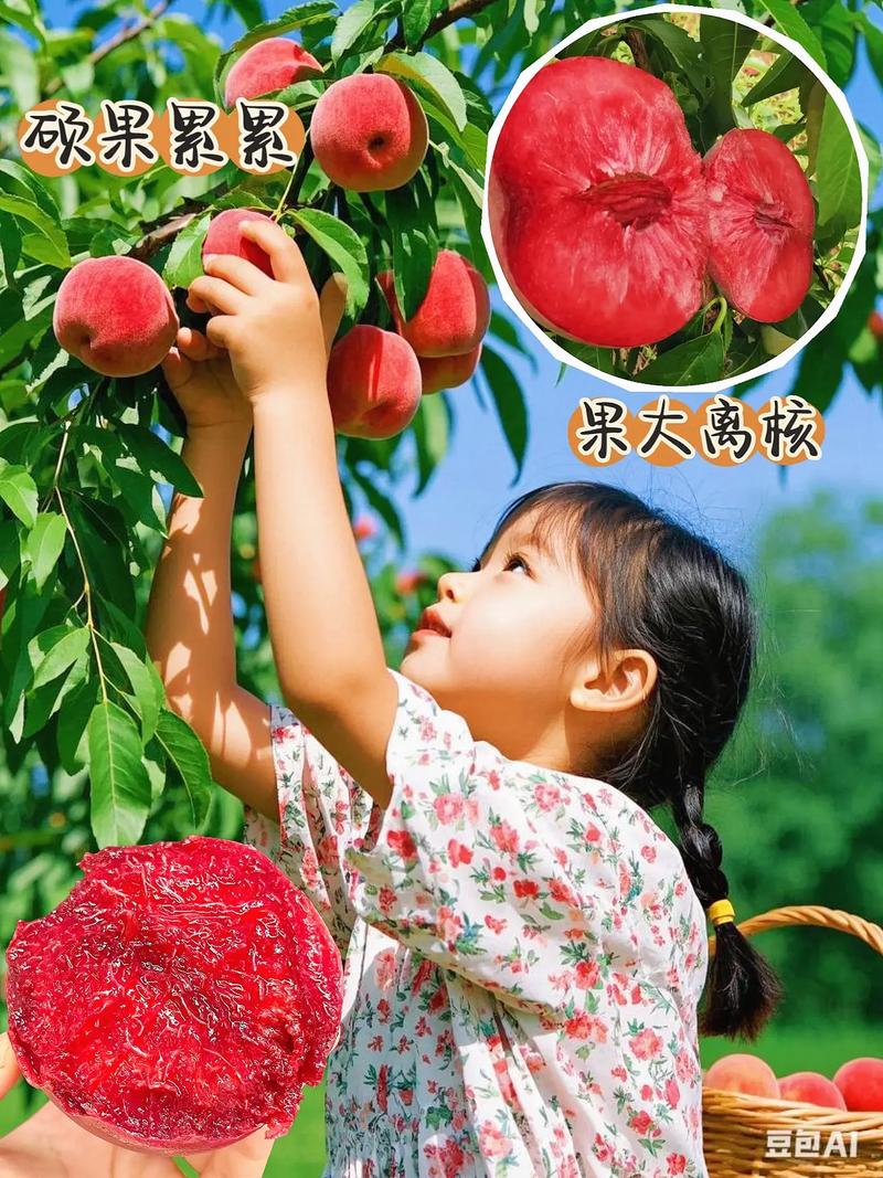 观赏桃树品种大全图片-图3