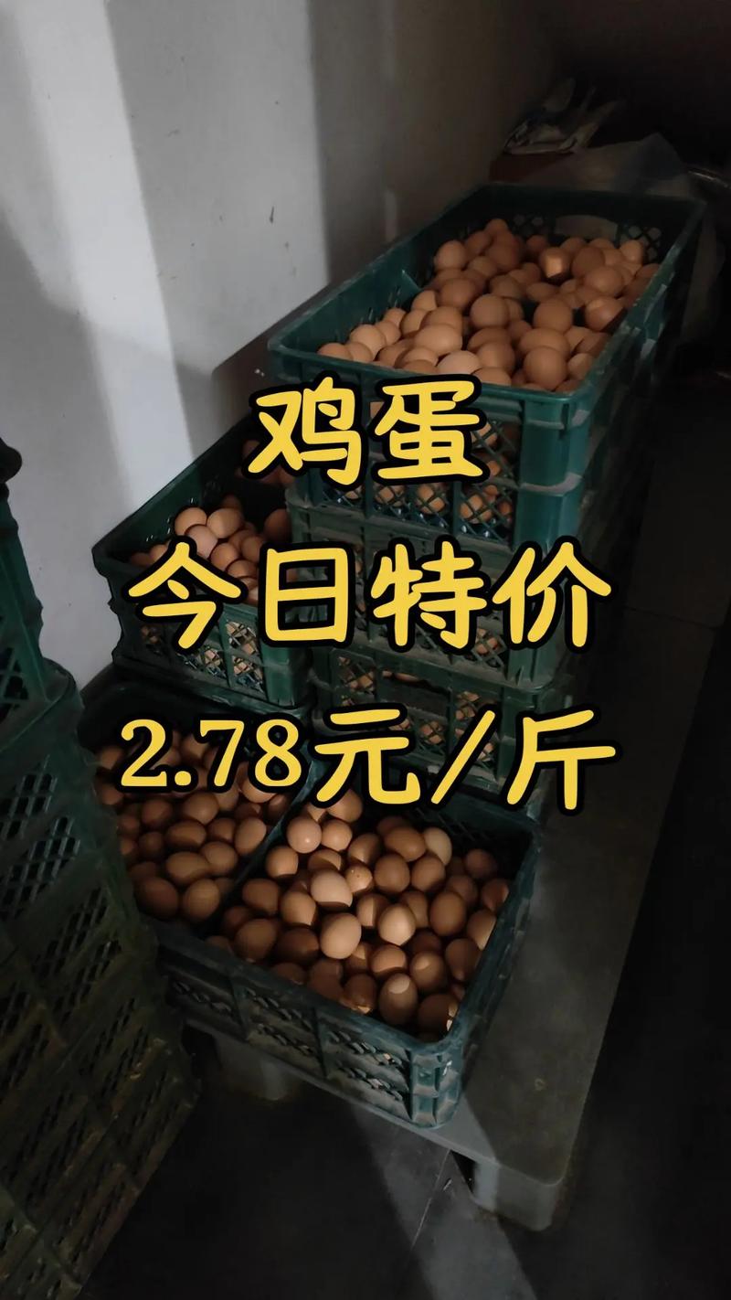 商丘今日咸阳鸡蛋价格多少？-图1