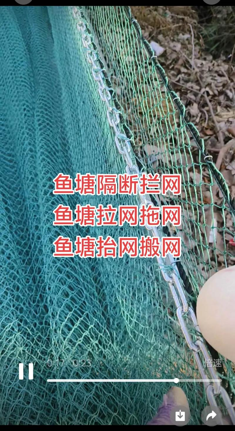 湖泊围网鳊鱼养殖技术要点有哪些?-图1 湖泊围网鳊鱼养殖技术要点有哪些?-图1