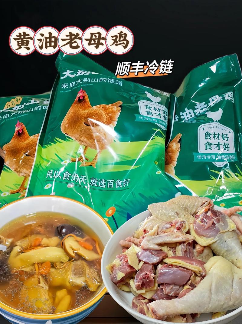 养殖土鸡全套技术光盘内容有哪些？-图1