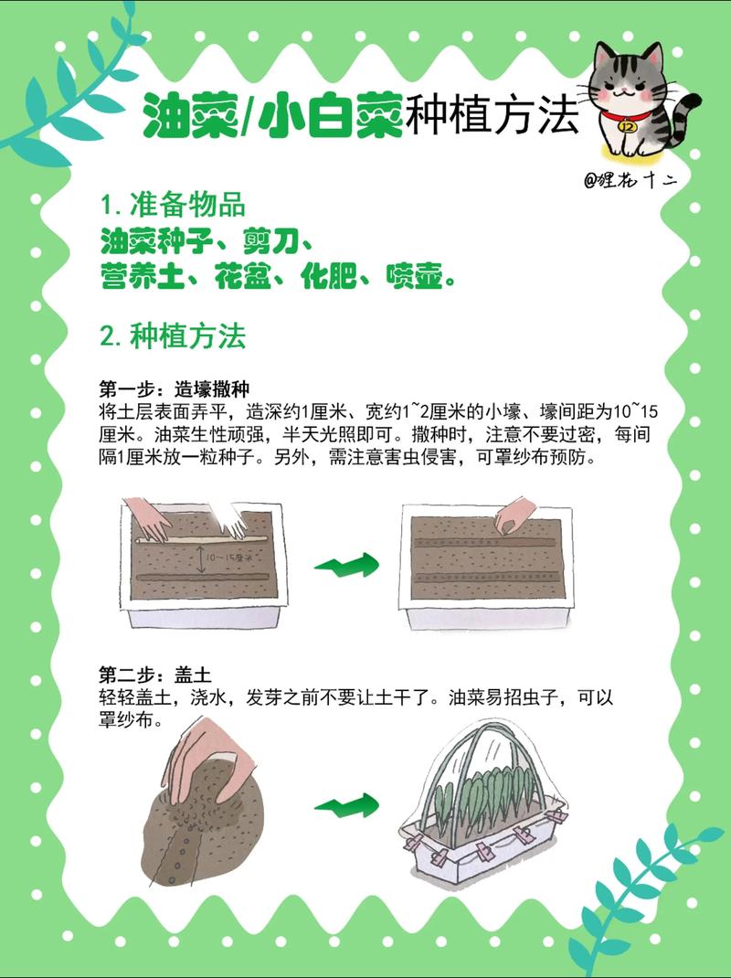 家庭小型大棚种菜，新手怎么快速上手？-图3