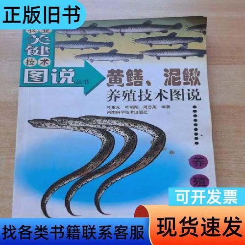 泥鳅黄鳝混养关键技术有哪些？-图2