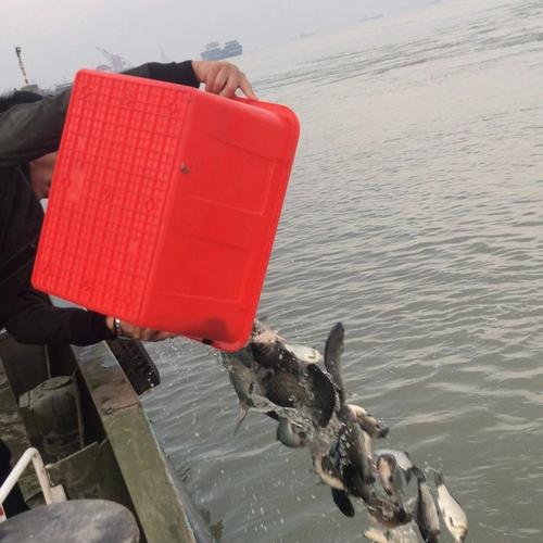 田螺泥鳅混养技术视频，关键点在哪？-图2