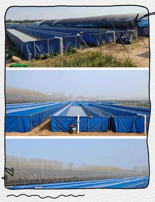 湖南水蛭养殖技术视频怎么学？-图2