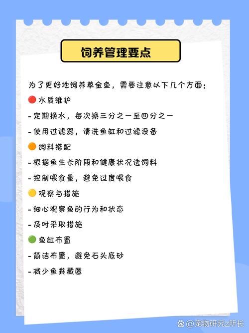 草鱼夏花早期养殖关键要点有哪些？-图2