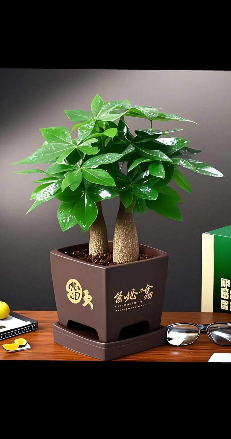 栽培什么花树品种赚钱-图1 栽培什么花树品种赚钱-图1